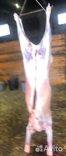 Мясо баранина