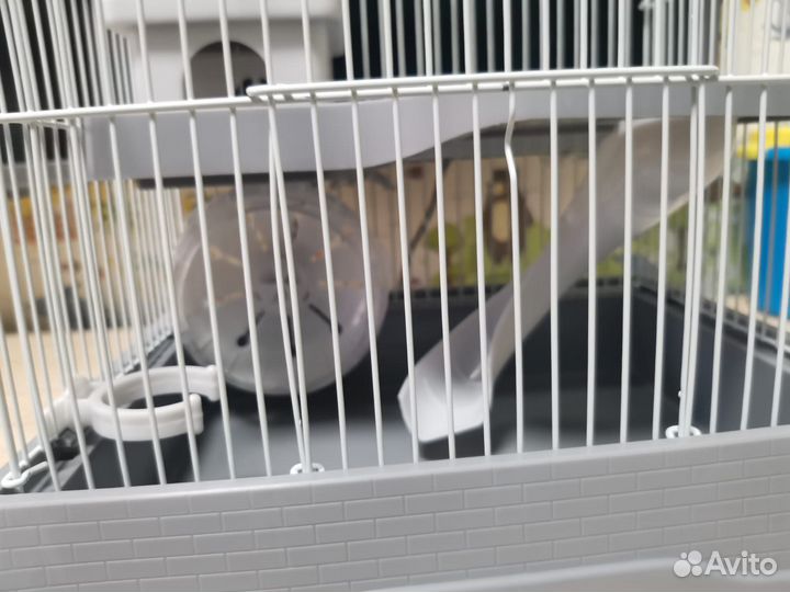 Клетка для хомяка