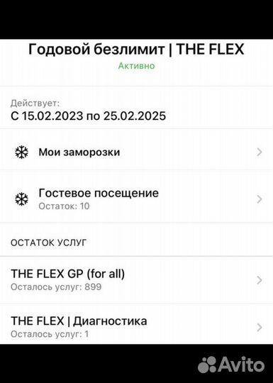Годовой абонемент в студию THE flex