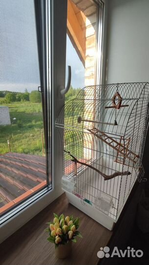 Большая клетка для птиц