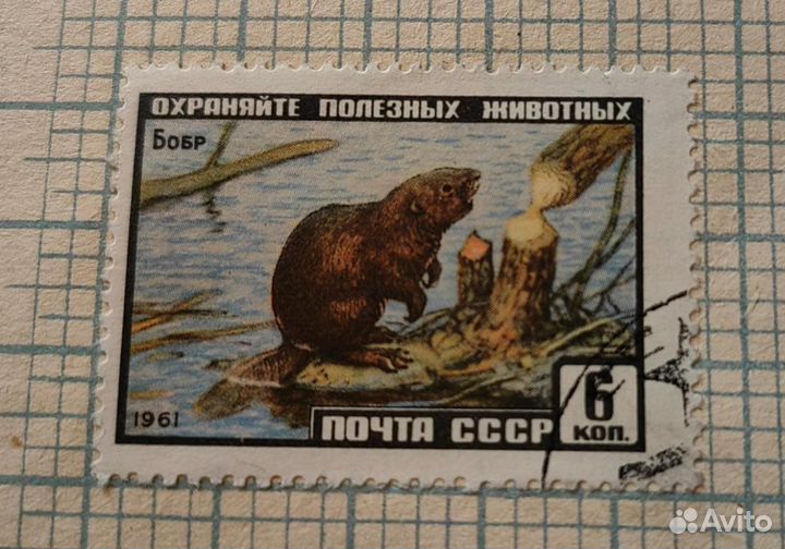 Почтовая Марка Бобр