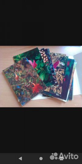 Открытки СССР