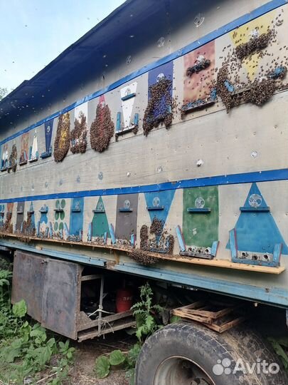 Прицеп кассетный для пчел