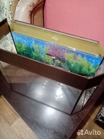 Аквариум