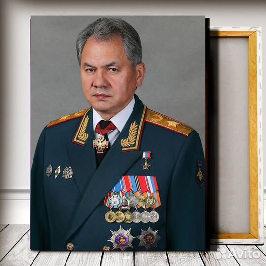 Портрет Шойгу