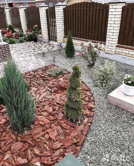 Сосновая кора