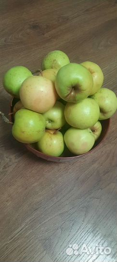 Яблоки Гольден