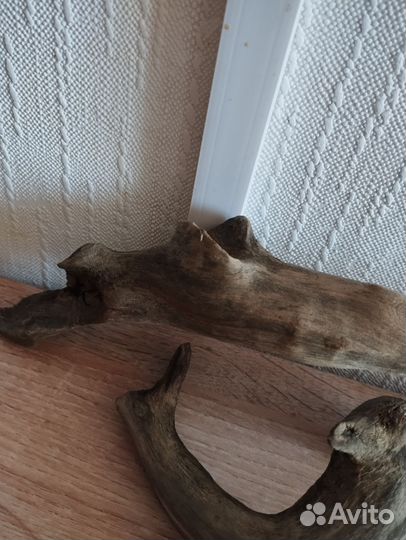 Коряги для аквариума