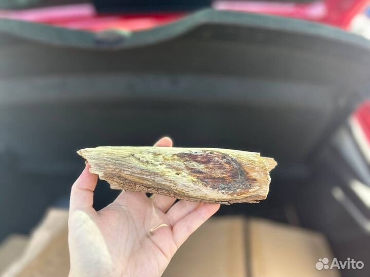 Коряга для декора дрифтвуда