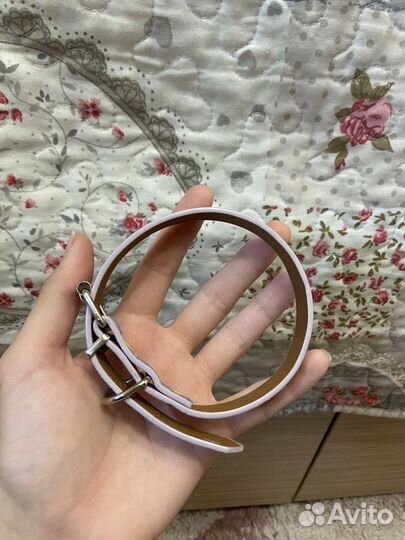 Ошейники и поводки для собак