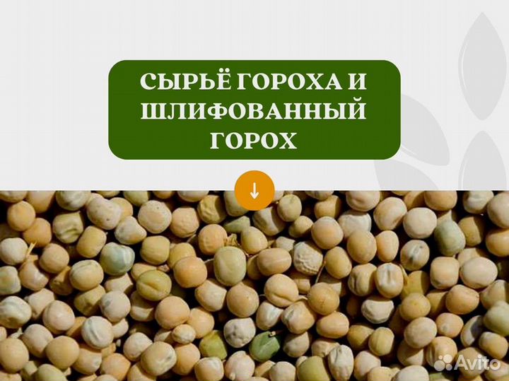 Горох с поля (сырье) (кг)