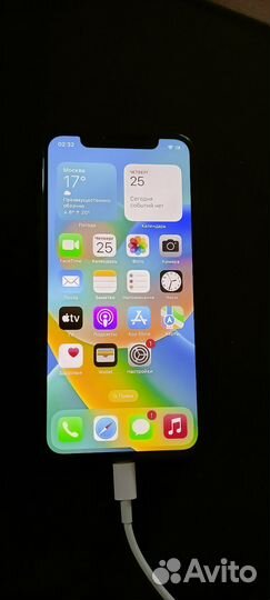iPhone X, 256 ГБ