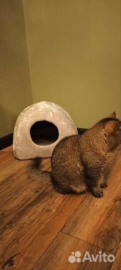 Домик для кошки
