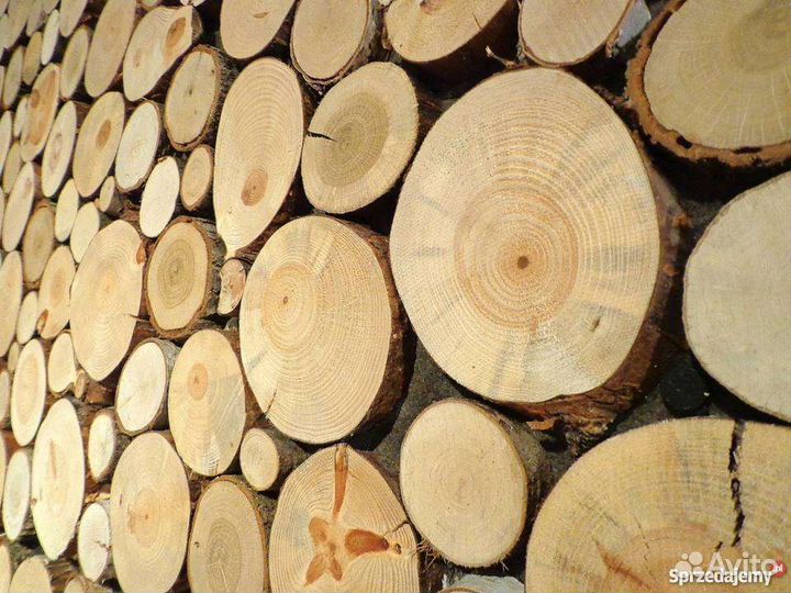 Спилы дерева