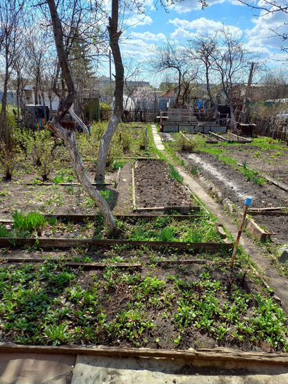 Дача 20 м² на участке 3 сот.