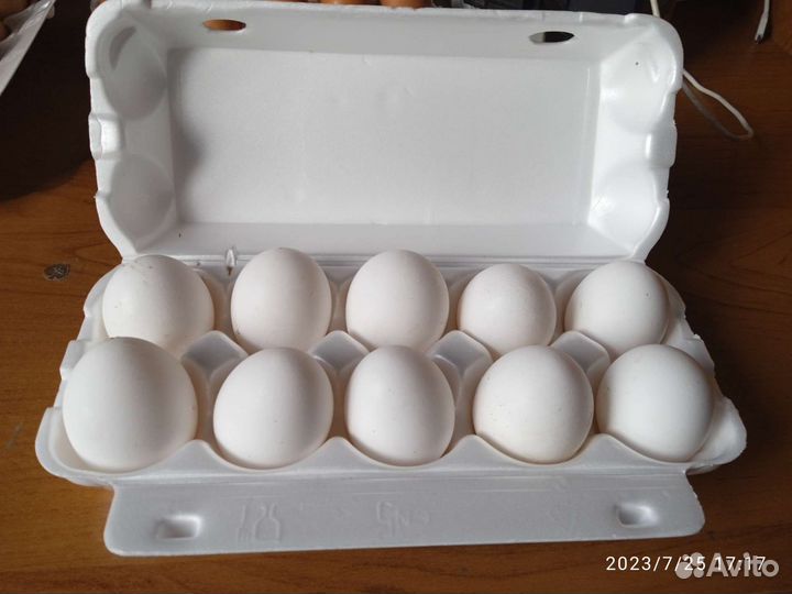 Домашние куриные яйца