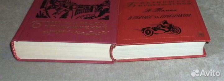 Знак Синей Розы Дружинин. Атаманыч. Юксерн 8 книг