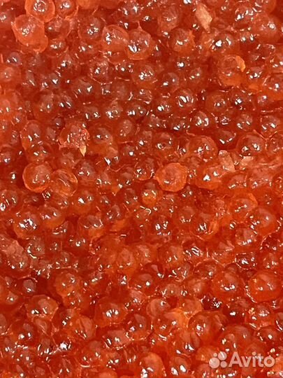 Красная икра 2023