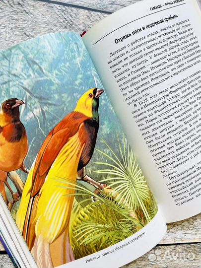 Мифологические животные