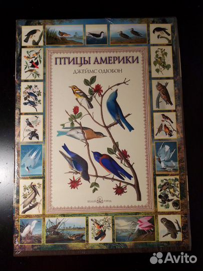Детская книга Большие заботы кроликов Виммельбух