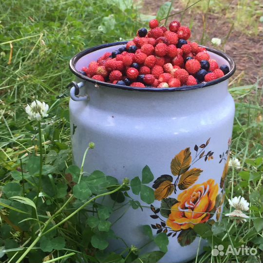 Аренда дома, бани, лодки, сап доски