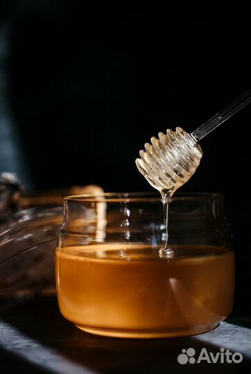 Мед. Сотовый мёд