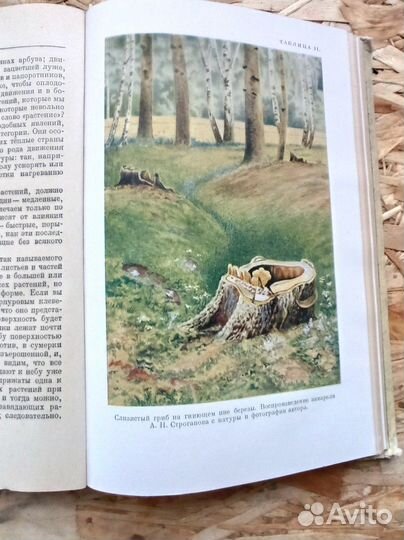 Жизнь растений. Тимирязев. 1949 г