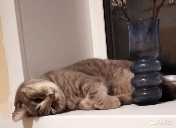 Озорник Филимон