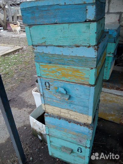 Улей для пчел