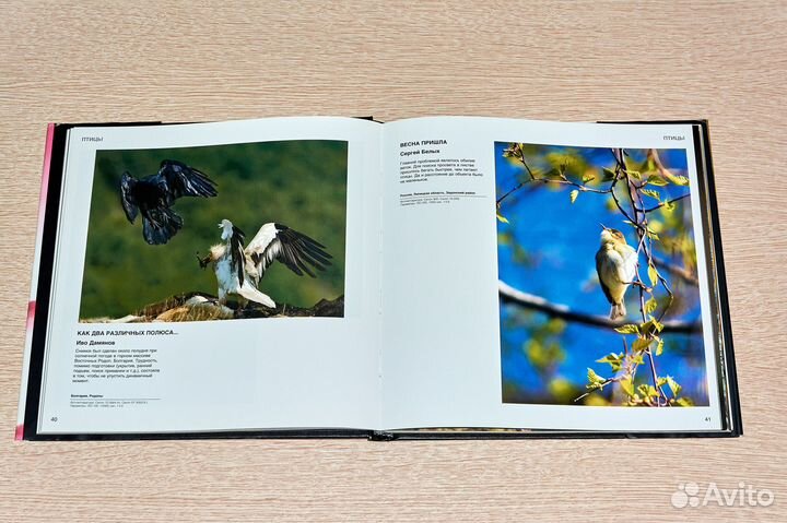 Фотоальбом Золотая черепаха 2007