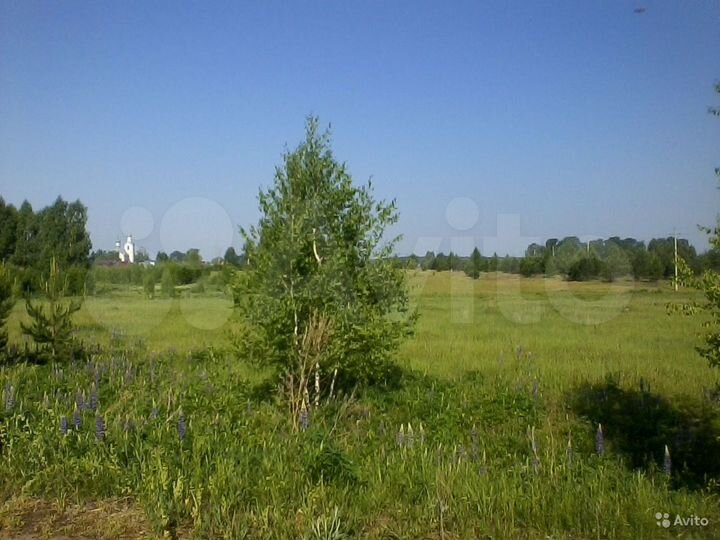 Участок 44 га (СНТ, ДНП)