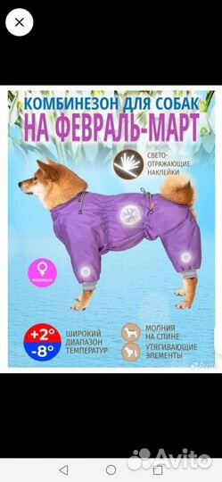 Одежда для средних собак