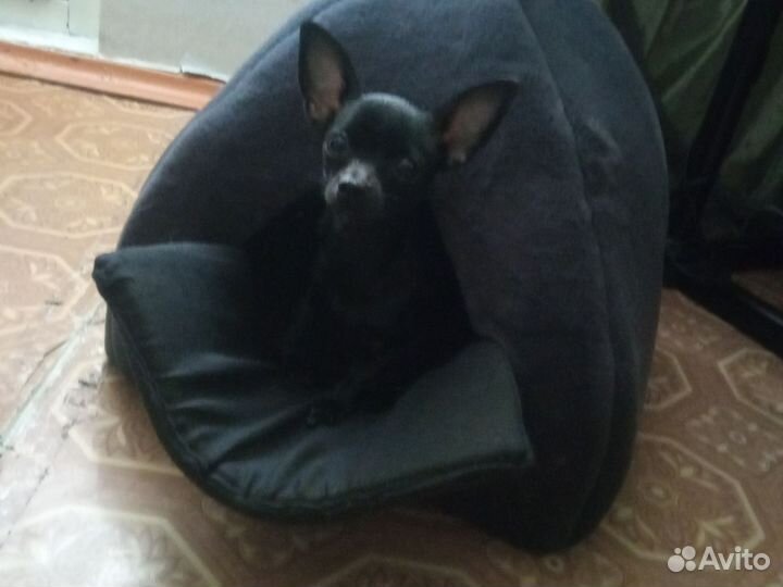 Домик для кошек