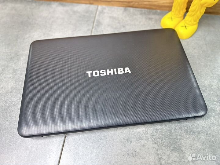Ноутбук Toshiba AMD 2 ядра/RAM 4gb/SSD