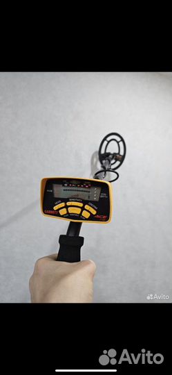 Металлоискатель garrett ace 250