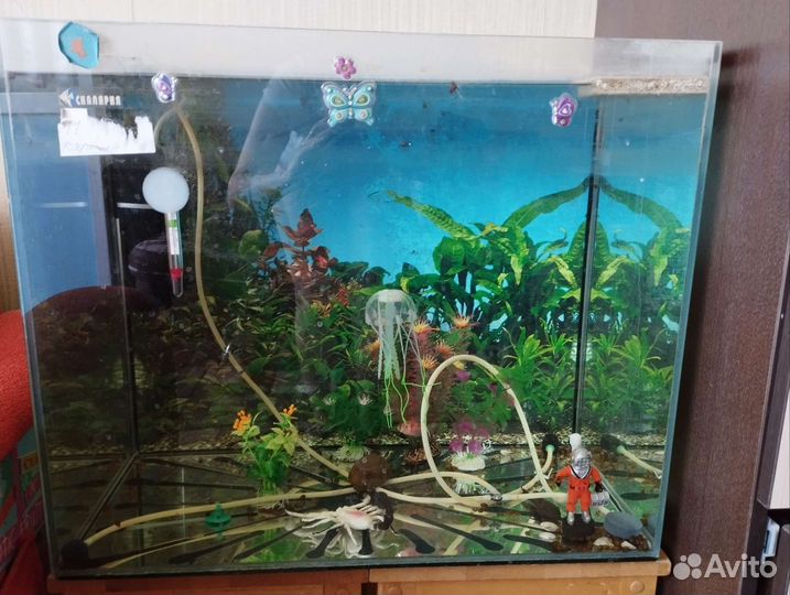 Аквариум 100л
