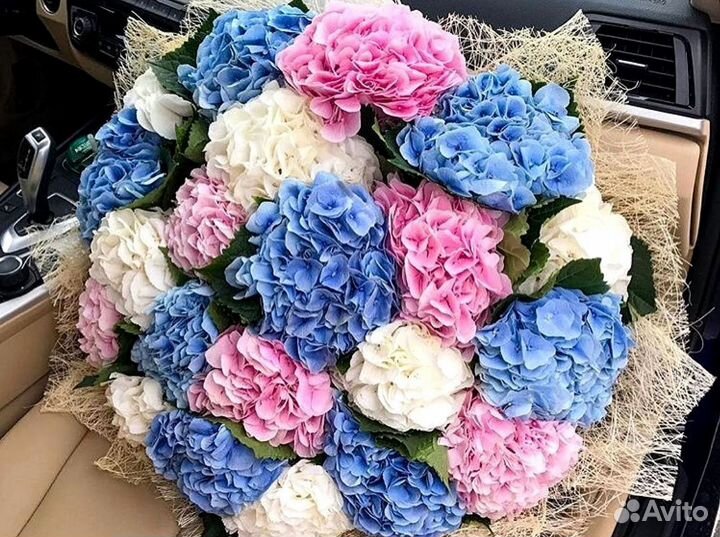 Гортензии с доставкой