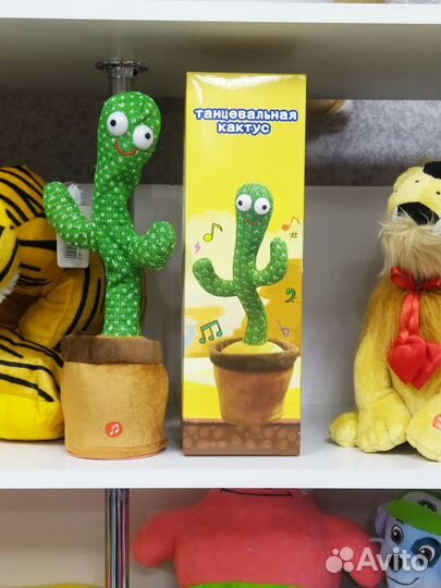 Танцующий кактус