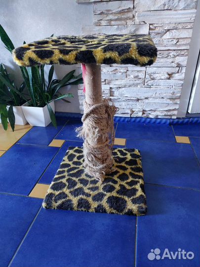 Когтеточка