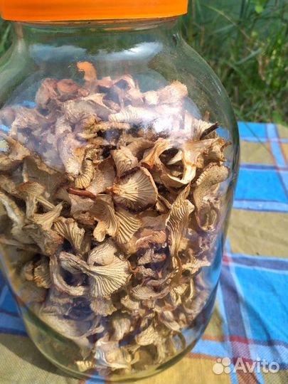 Сушеные грибы, чага