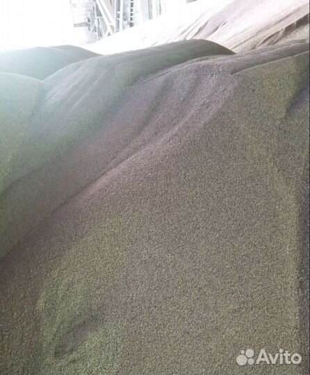 Фуражный овёс, Ячмень озимый на корм