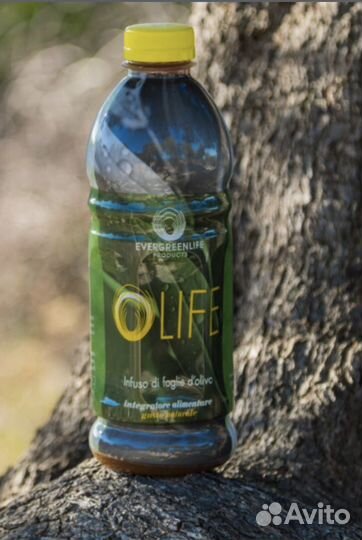 Olife Экстракт оливковых листьев «Olife»