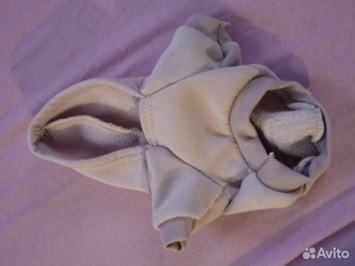 Одежда для собак