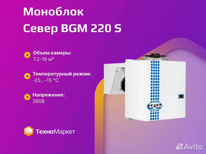 Моноблок Север BGM 220 S