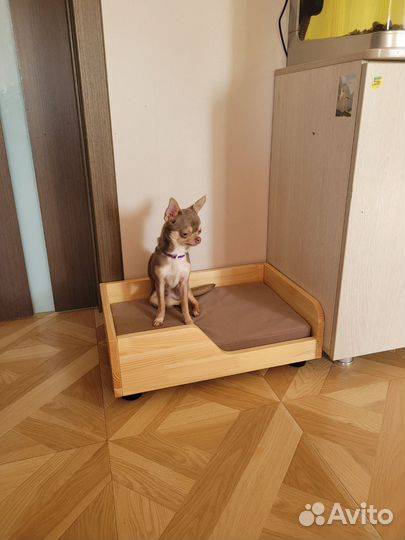 Лежанка для собаки. Лежанка для кошки