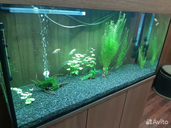 Аквариумный комплекс все сразу