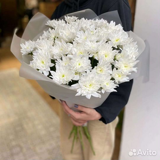 15,25, 51, 101 кустовая хризантема доставка