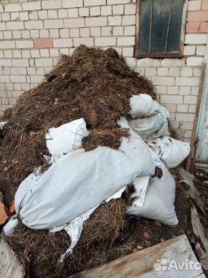 Навоз от овец