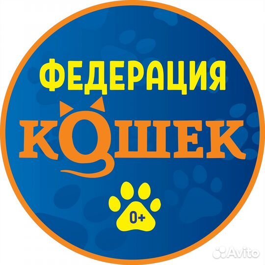 Сотрудник по уходу за котиками