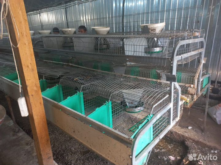 Клетки для кроликов бу